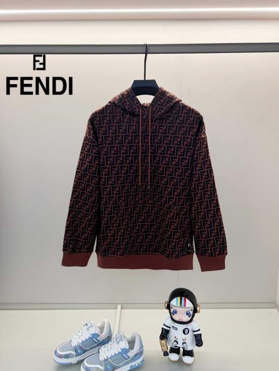 Picture of Fendi Hoodies _SKUFendiXS-L24cr883086
